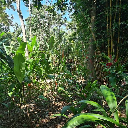 El Jardin De Playa Negra Villa Puerto Viejo de Talamanca Екстериор снимка
