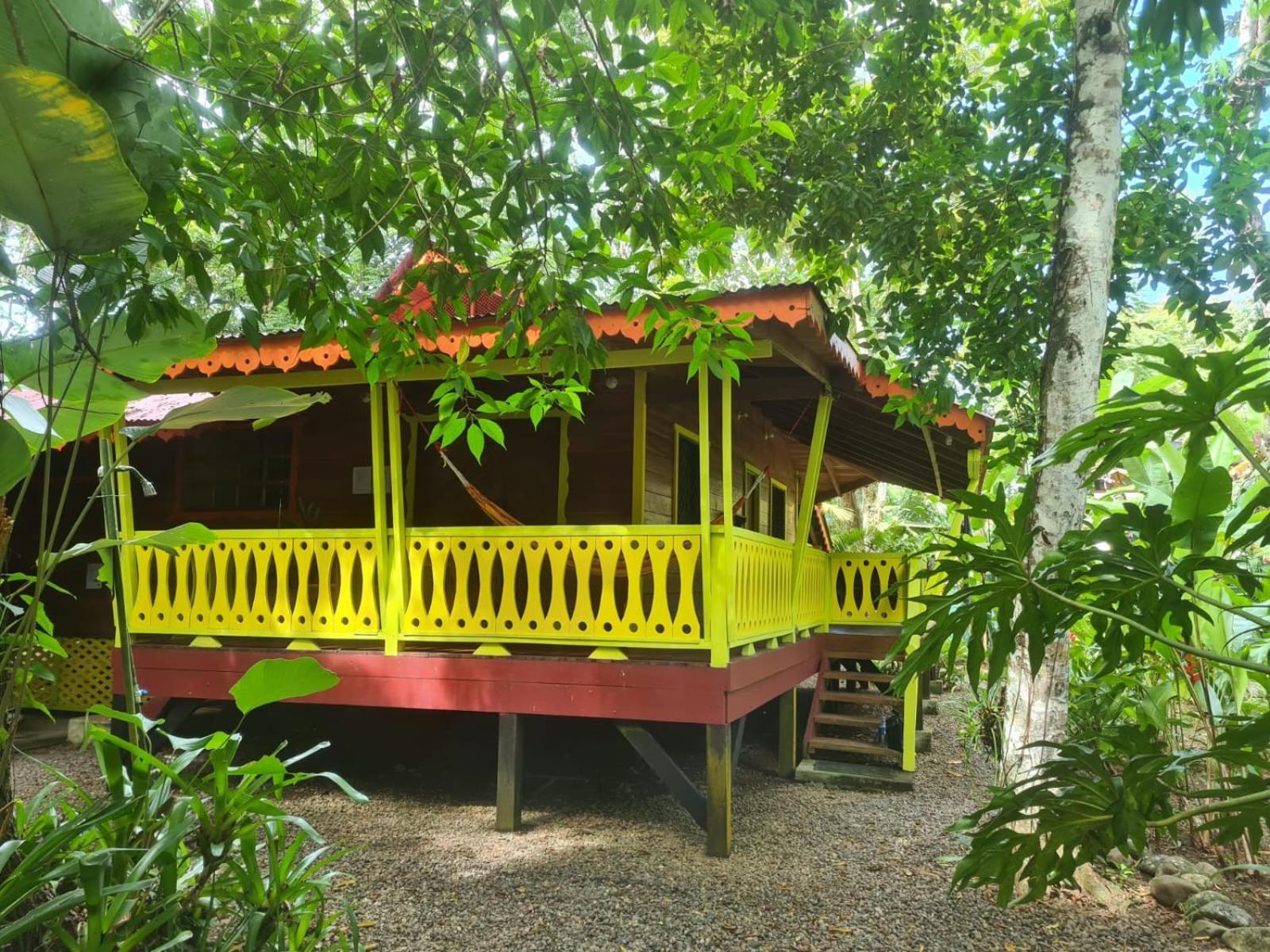 El Jardin De Playa Negra Villa Puerto Viejo de Talamanca Екстериор снимка