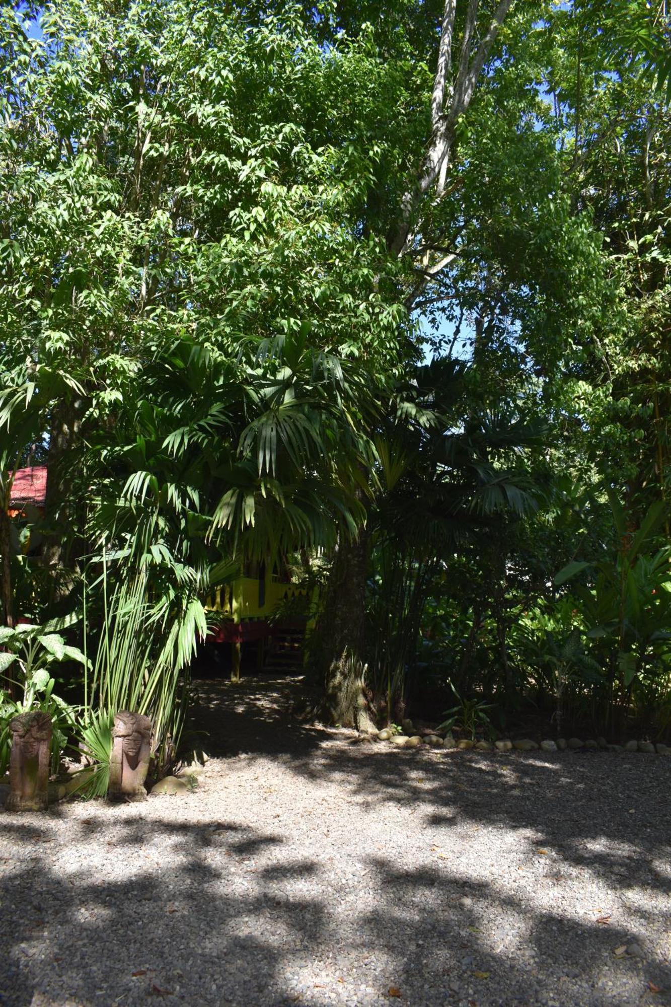 El Jardin De Playa Negra Villa Puerto Viejo de Talamanca Екстериор снимка