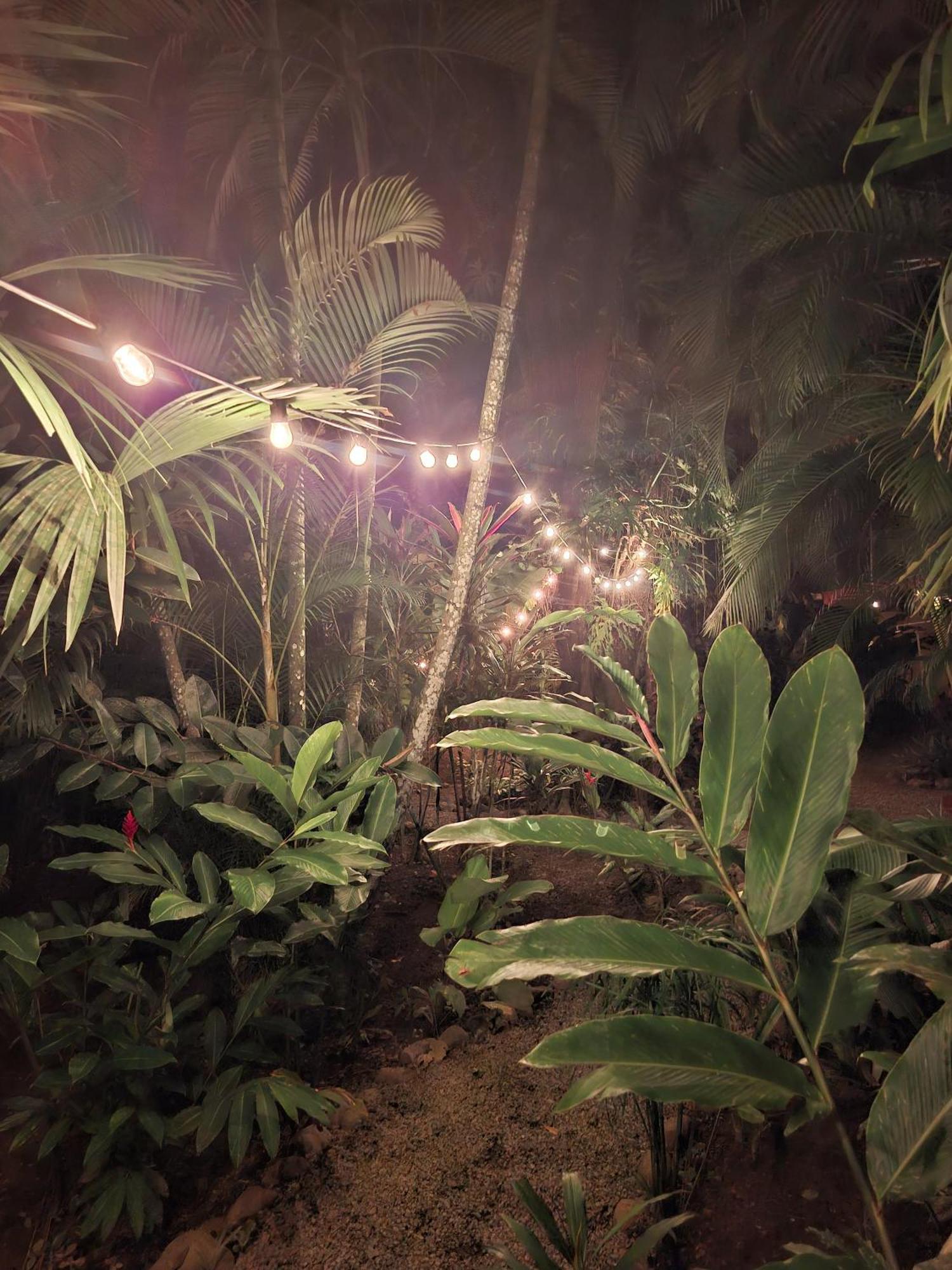 El Jardin De Playa Negra Villa Puerto Viejo de Talamanca Екстериор снимка