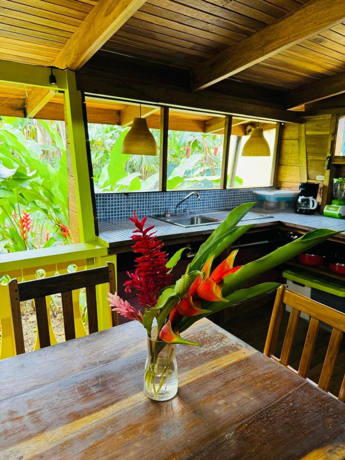 El Jardin De Playa Negra Villa Puerto Viejo de Talamanca Екстериор снимка