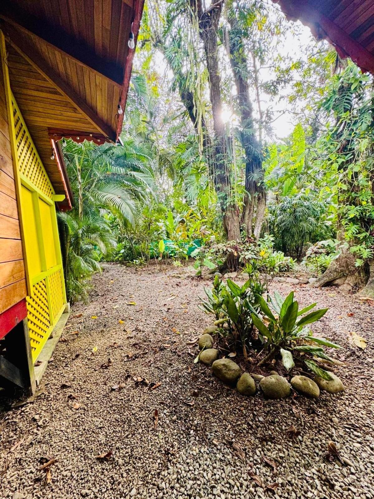 El Jardin De Playa Negra Villa Puerto Viejo de Talamanca Екстериор снимка