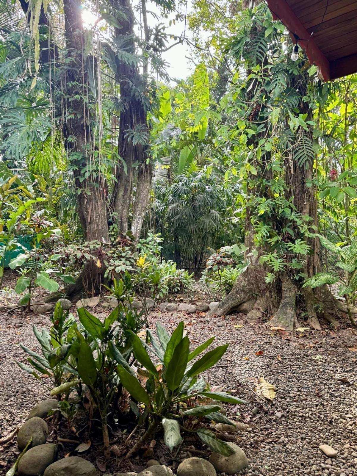 El Jardin De Playa Negra Villa Puerto Viejo de Talamanca Екстериор снимка