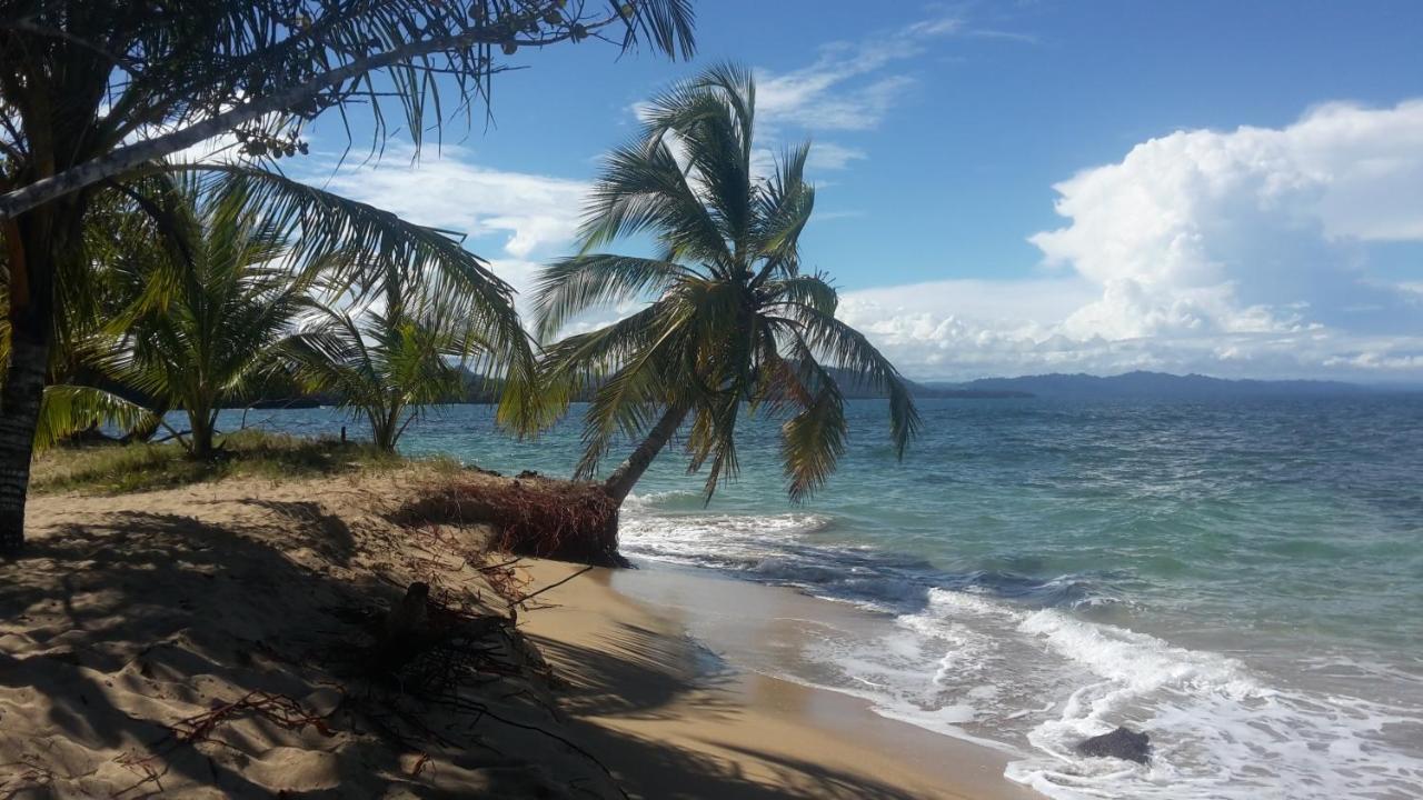 El Jardin De Playa Negra Villa Puerto Viejo de Talamanca Екстериор снимка