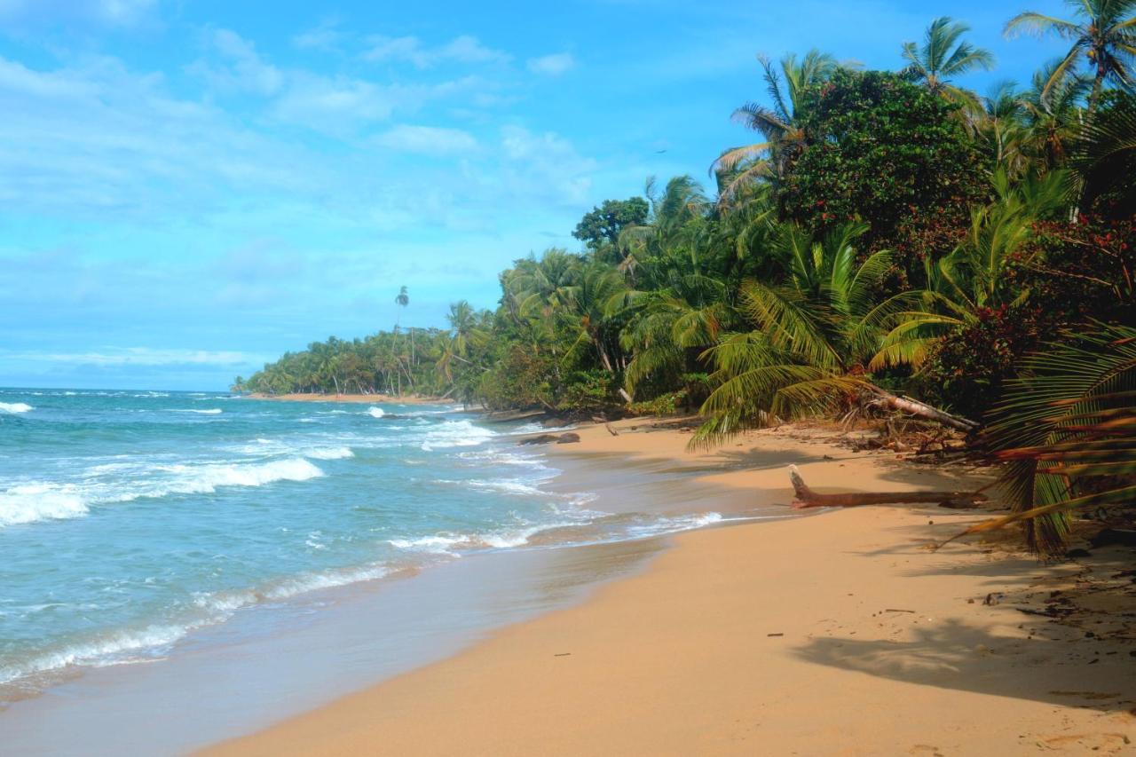 El Jardin De Playa Negra Villa Puerto Viejo de Talamanca Екстериор снимка